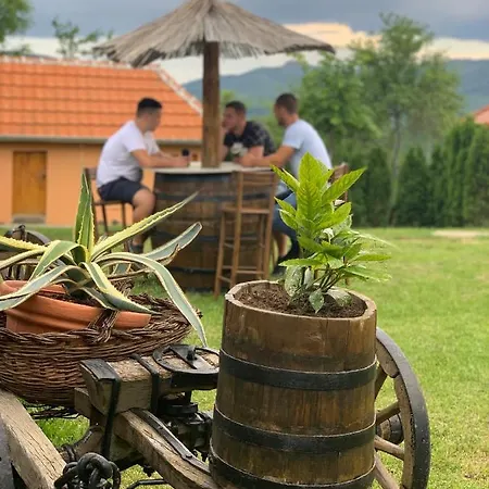 Etno Selo Milanovic - Nonac Chalet Kursumlija