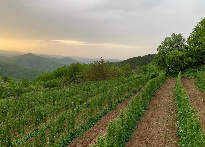 Etno Selo Milanovic - Nonac Alpehytte