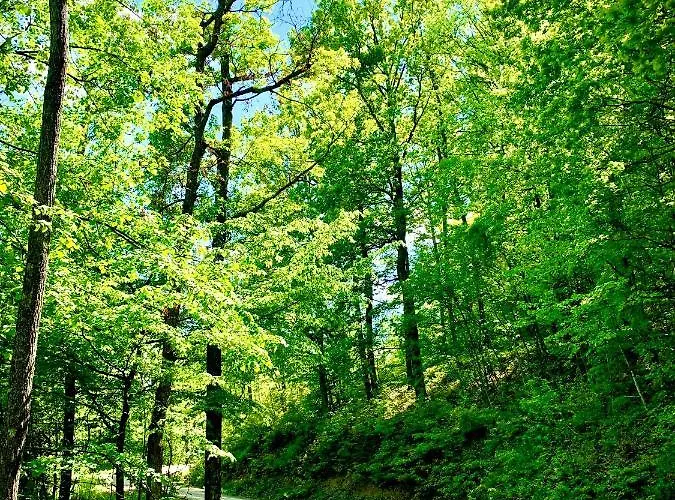 Etno Selo Milanovic - Nonac Alpehytte *