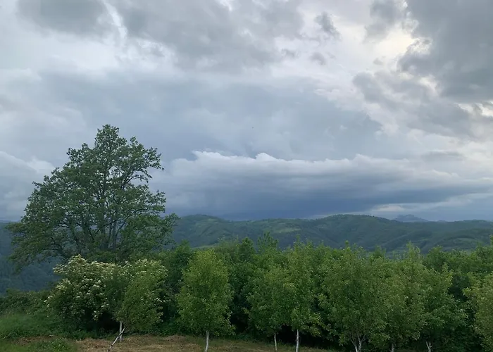 Etno Selo Milanovic - Nonac *